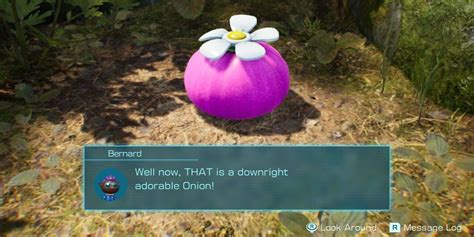 purple onion pikmin 4|farm purple pikmin 4.